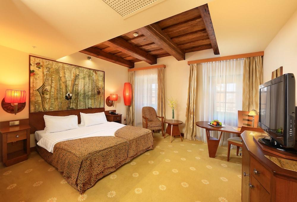 Lindner Hotel Prague Castle实景图